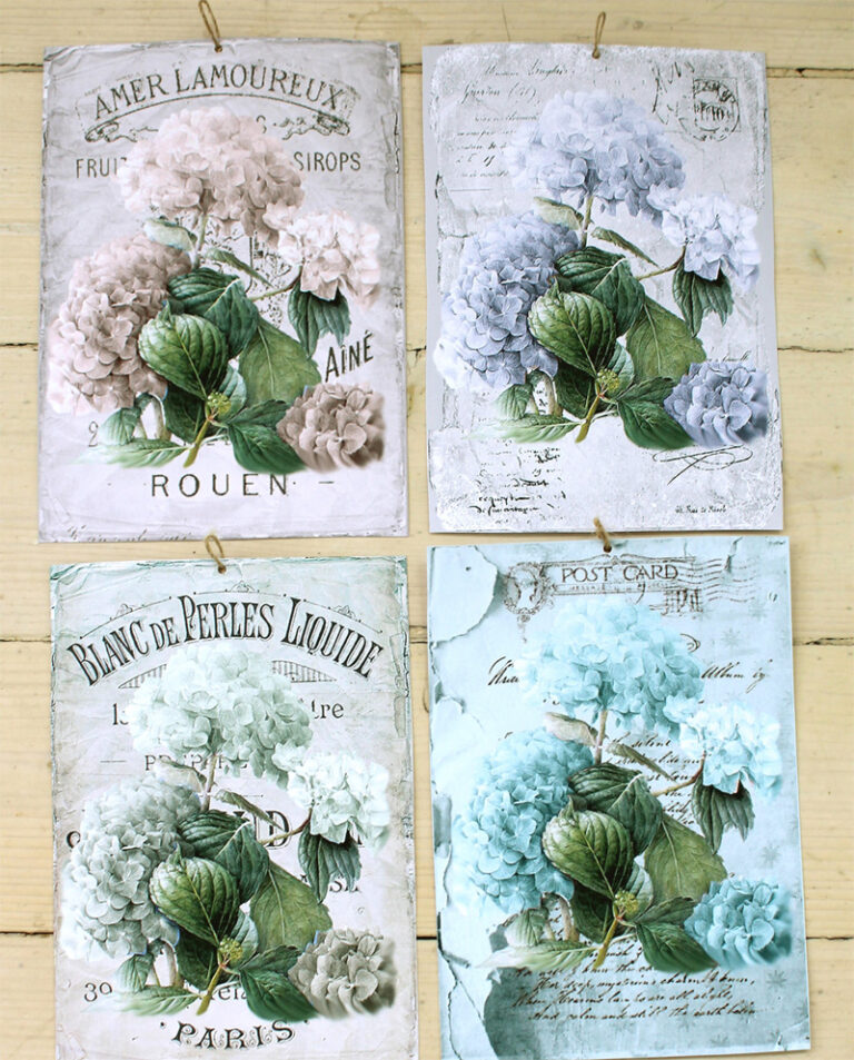 Flora hortensia alla