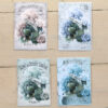 Flora hortensia mini NY