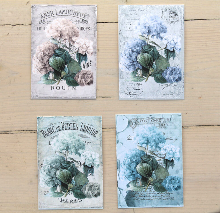 Flora hortensia mini NY