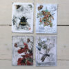 Flora insekter mini