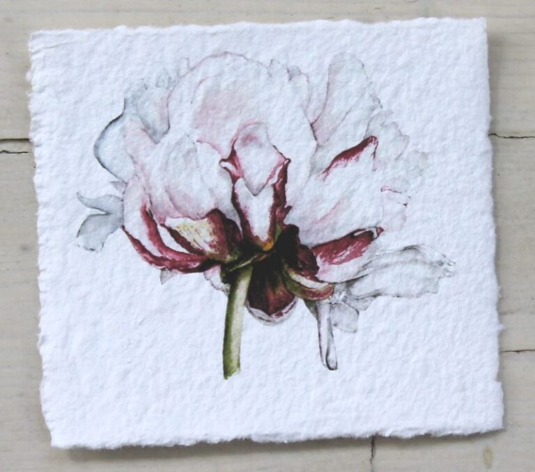 Pion 2