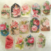 TP rosa rosor samlingsbild