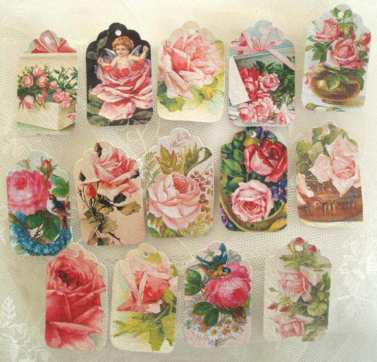 TP rosa rosor samlingsbild